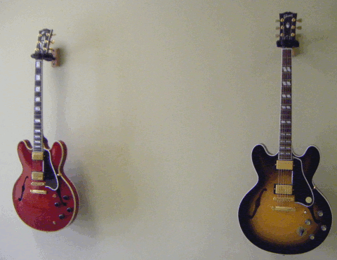 a couple of guitars on display in the hallway